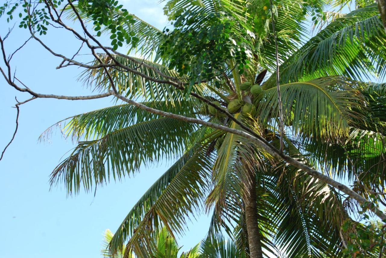 Heleni Jessop's Fatahega Villa Alofi Bagian luar foto